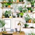 How to Use Indoor Plants to Enhance Your Interior Decor